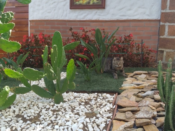 Exclusive Colonial Country Estate in El Paraíso Gated Community, Copacabana