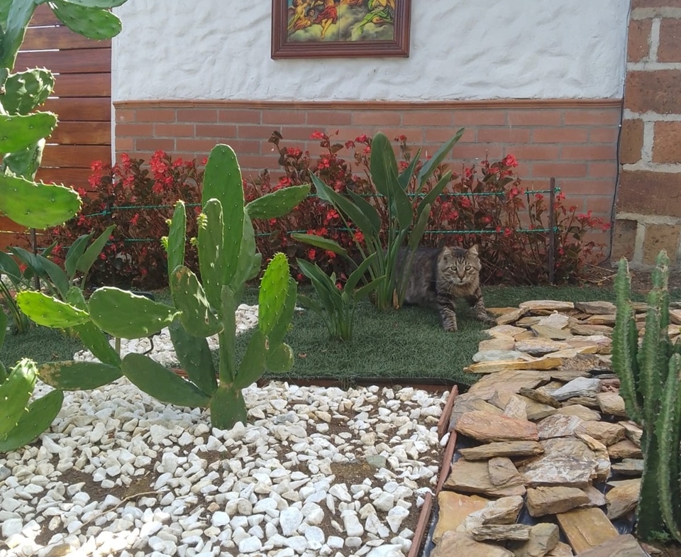 Exclusiva Casa Campestre Colonial en Parcelación El Paraíso, Copacabana