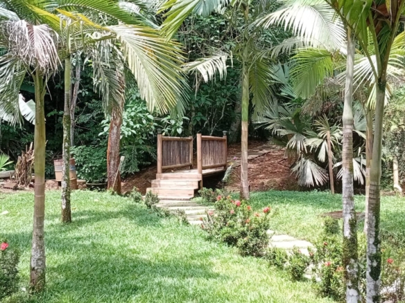 Boutique Hotel for Sale | Río Claro, Antioquia