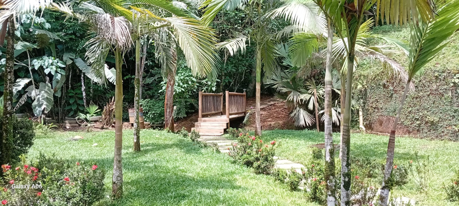 Boutique Hotel for Sale | Río Claro, Antioquia